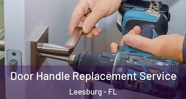 Door Handle Replacement Service Leesburg - FL
