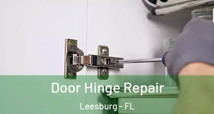 Door Hinge Repair Leesburg - FL