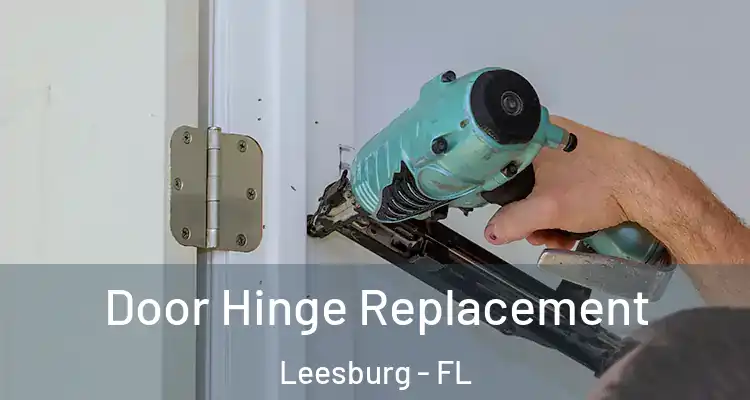 Door Hinge Replacement Leesburg - FL