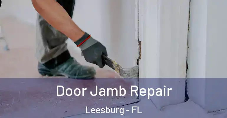 Door Jamb Repair Leesburg - FL