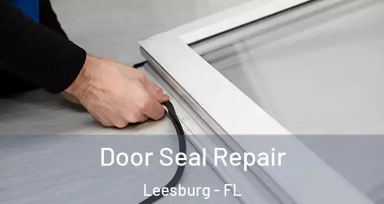 Door Seal Repair Leesburg - FL
