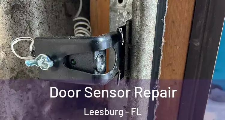 Door Sensor Repair Leesburg - FL