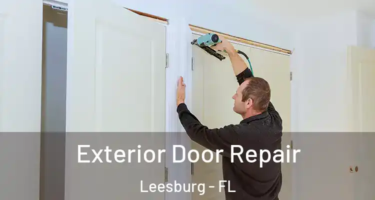 Exterior Door Repair Leesburg - FL