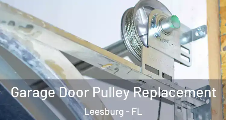 Garage Door Pulley Replacement Leesburg - FL