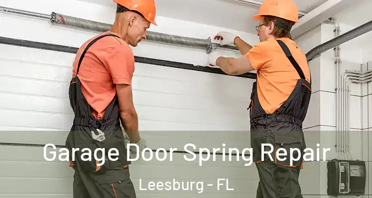 Garage Door Spring Repair Leesburg - FL