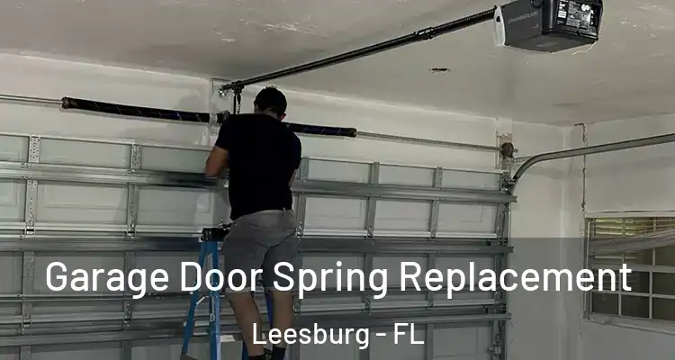 Garage Door Spring Replacement Leesburg - FL