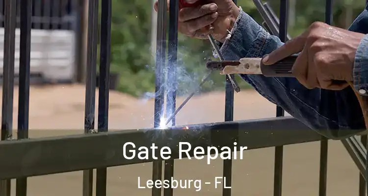Gate Repair Leesburg - FL