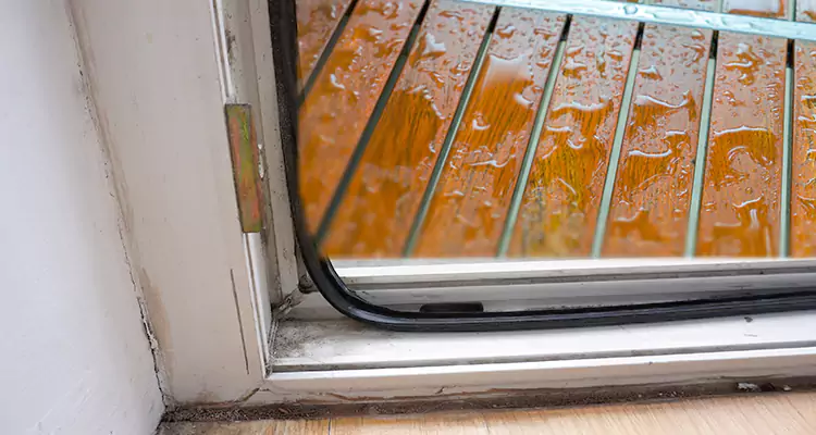 Water Leaking Wooden Patio Doors Repair in Leesburg, FL
