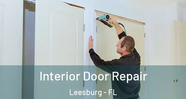 Interior Door Repair Leesburg - FL