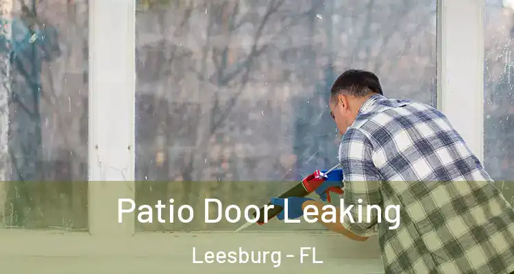 Patio Door Leaking Leesburg - FL