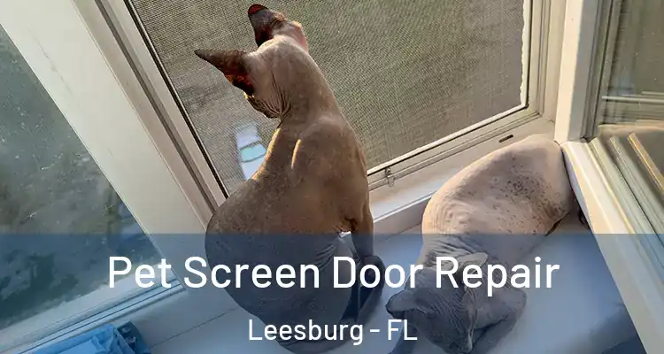 Pet Screen Door Repair Leesburg - FL