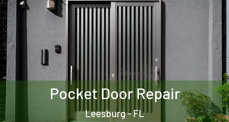 Pocket Door Repair Leesburg - FL