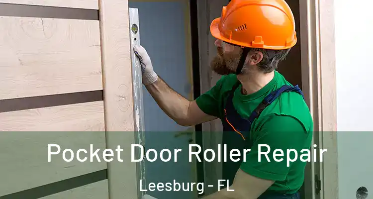 Pocket Door Roller Repair Leesburg - FL