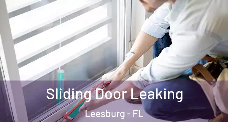 Sliding Door Leaking Leesburg - FL