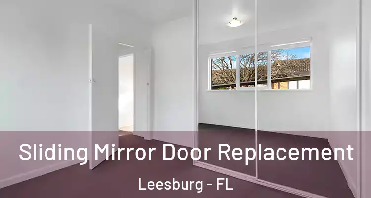 Sliding Mirror Door Replacement Leesburg - FL