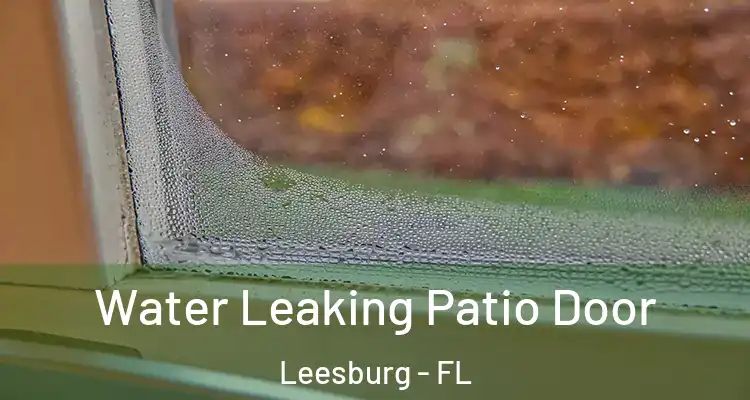 Water Leaking Patio Door Leesburg - FL