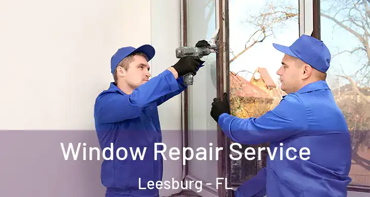 Window Repair Service Leesburg - FL