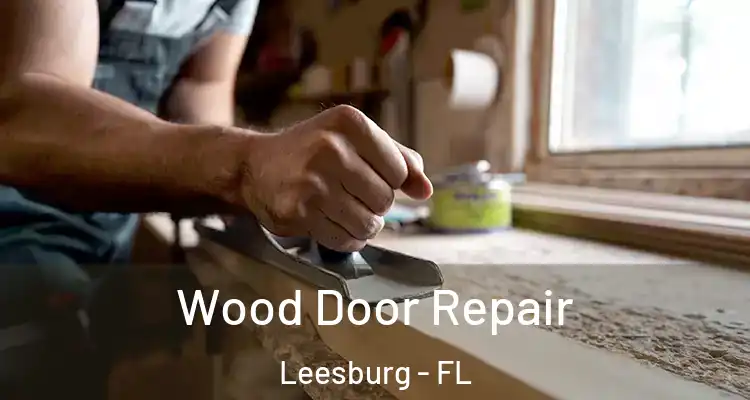 Wood Door Repair Leesburg - FL